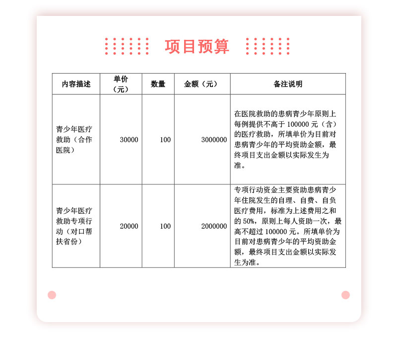 青少年医疗救助-项目预算.jpg